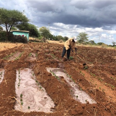 Basin Irrigation Loitoktok Region Kenya