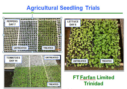 Agricultural Seedling Trials