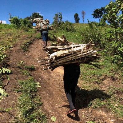 Carrying wood for fuel Kitale Kenya